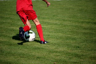 开云官网注册-中国篮球职业联赛俱乐部青训体系建设及实践探索，职业篮球青年队